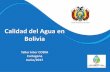 Estado Plurinacional de Bolivia Calidad del Agua en …codia.info/images/documentos/Intercodia-Cartagena/Bolivia.pdf · las aguas ácidas de mina. ... Ampliación y modernización