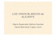 LOS VINOS BLANCOS DE ALICANTE · Molina Huertas/López Lluch La combinación de suelos muy especiales, climas templados y humedades relativas configuran al paisaje alicantino como