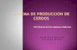 EFICIENCIA EN SU GRANJA PORCINA - Ministerio de … de... · La producción de cerdos de Argentina debe ... productores. Serán la EFICIENCIA y la ESCALA PRODUCTIVA la herramientas