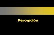 Presentación de PowerPoint - MAESTRÍA EN …fidelmafca.weebly.com/uploads/4/0/4/7/4047781/__percepcion-teora-y... · 4. Enfoque neuropsicológico 1. Teorías de la percepción .