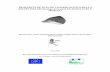 PROPUESTA DE PLAN DE CONSERVACION PARA LA DELFÍN …cetaceos.com/wp-content/uploads/2016/12/plan20mular.pdf · El delfín mular es un delfín con una amplia distribución a lo largo