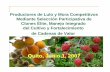 Quito, Junio 1, 2007 · 2017-07-24 · naranjilla o lulo (Solanum quitoense) y mora ... • Dinamización de redes de difusión agricultor-agricultor ... innovación en los actores