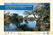 Swan and Helena Rivers Management Framework · Swan and Helena RiveRS ManageMent FRaMewoRk HeRitage audit and StateMent oF SigniFicance Executive Summary The Swan River and Helena