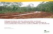 Diagnóstico de la situación actual sobre políticas ... · CIPA Centro de Investigación y Preservación de la Amazonía ... UAP Universidad Amazónica de Pando UMSA Universidad