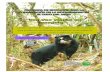 Cartilla Profes Rev - cordilleratropical.orga_Aplicación.pdf · naturales con énfasis en el oso andino, ... sobre las diferentes especies de osos existentes en el mundo, su estado