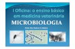 I Oficina ensino basico MICRO - crmvsp.gov.br · Microcultivo em lâmina; Características fundamentais dos vírus Multiplicação viral Relação célula-vírus Principais métodos