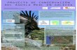 PROYECTO DE CONSERVACIÓN DEL ÁGUILA REAL … · The data collected along the years by the government of Galicia for the elaboration of the “Plan de Recuperación del Águila Real