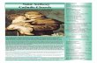 Saint Anthony PARISH STAFF FATHER ANDRES …stanthonykc.org/wp-content/uploads/2018/03/February-25-2018.pdf · dio propio del segundo domingo de Cuaresma: la Transfiguración.San