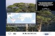 Evaluación y análisis de importadores e importaciones de ... · OIMT Organización Internacional de las Maderas Tropicales JFSQ Cuestionario Conjunto sobre el Sector Forestal (publicado