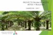 PROYECTO PALMA DE ACEITE MITOS Y REALIDAD · La palma de aceite sin deforestar contribuye a mitigar el cambio climático. El biodiesel de palma reduce los GEI entre 83% y 108% frente