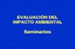 TEMA 1 Desarrollo Histórico y Conceptual de la … Julio/EIA-seminarios.pdf · Reducción de la transparencia y la disponibilidad de luz. Aumento de la materia orgánica sedimentada.