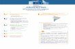 MERCOSUR IPR SME Helpdesk Ficha Técnica sobre PI · 2016-03-07 · otorgan la exclusividad de uso y explotación de sus creaciones intelectuales, así como el derecho Cooperación