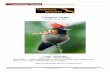 Trinidad Tobago - tropicalbirding.com · Tropical Birding - Trip Report Trinidad & Tobago, January 2018  +1-409-515-9110 info@ ...