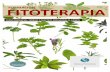 INSTITUTO VALENCIANO DE TERAPIAS NATURALES FITOTERAPIA 1 · 2016-11-25 · instituto valenciano de terapias naturales fitoterapia 5 2. plantas medicinales y sistemas ... medicina