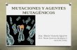 MUTACIONES Y AGENTES MUTAGÉNICOSecaths1.s3.amazonaws.com/quimicabiologica2/591253964.Mutaciones... · descendencia y sobre ellas actuará la selección natural Las que sufren las
