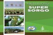 supersorgo.mxsupersorgo.mx/pdfs/manuales/guia-siembra.pdf · Gracias a la Visión Consejo de Salvador ... Los principales nutrimentos que requiere el Súper Sorgo para ... que pertenece