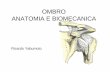 anatomia e biomecanica do ombro - CEMY e biomecanica do ombro.pdf · ART. ESTERNOCLAVICULAR • Sinovial • Clavicula + parte lateral e superior manubrio esternar cartilagem da 1