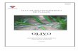 Guia de plagas del Olivo julio 2005. - SAG CHILE · Esta Guía de reconocimiento de plagas cuarentenarias del olivo considera los antecedentes técnicos de las plagas cuarentenarias