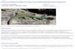 ENCICLOPEDIA VIRTUAL DE LOS VERTEBRADOS …digital.csic.es/bitstream/10261/108955/3/timlep_v1.pdf · La dieta de los lagartos ocelados es probablemente la mejor conocida de los reptiles