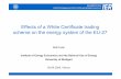 Effects of a White Certificate trading scheme on the ... · Electricity generation and Primary Energy Consumption Final energy consumption ... Primary Energy Consumption Final energy