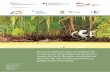 Insumos técnicos para fortalecer las concesiones de ... · Insumos técnicos para fortalecer las concesiones de manglar en Ecuador a través de Socio Bosque: combinando técnicas