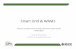 Smart Grid WAMS - IEEEsites.ieee.org/northern-canada-pesias/.../01/Smart_grid_January-26.pdf · Smart Grid & WAMS Women in Engineering/ Young Professional opening talk 26/01/2016