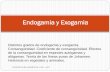 Endogamia y Exogamia - ecaths1.s3.amazonaws.comecaths1.s3.amazonaws.com/geneticafaz/1251262773.ENDOGAMIA Y... · autofecundan (autógamas como la arveja) y las especies con fecundación