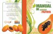 MANUAL DE LA - Welcome to XAMPPservices.sistelligent.com/ProyectosWeb/ProduceChiapas... · 2013-09-23 · El personal que trabaja en la fabricación de derivados de la papaya debe