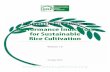 Performance Indicators for Sustainable Rice Cultivation Performance Indicators... · Pesticide-use efficiency Balanced scorecard Farm records Household survey SRP Guiding Principle:
