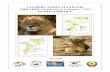 CONSERVATION STATUS OF THE LION Panthera … · Conservation status of the lion in Mozambique – June 2009 i TITLE: Conservation status of the lion (Panthera leo Linnaeus, 1758)
