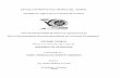 -2008- · "Drill Pipen (Tuberia de Perforacion) Acido Clorhidrico. "Inside Diameter" (Diametro interno) ... del pescado (perdida de peso en el "Martin Decker") ...