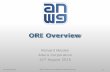 ORI Overview - IEEE 1904 · ORI Overview . ORI Activity 2 The ORI interface is built on top of the interface already defined by the CPRI (Common Public Radio ... – GSM: Method 1,