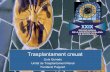 Trasplantament creuat - socane.catsocane.cat/nefrologia2013/pdf/ponencias/mesa3/3_Trasplantament... · primer cruce en función del grupo sanguíneo, porcentaje de anticuerpos anti-HLA