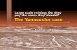 Large scale mining: Do they pay the taxes they should? The ... · - The Yanacocha case Using the information found in Minera Yanacocha S.R.L.’s reports, balance sheets and financial