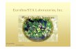 Eurofins/STA Laboratories, Inc. · (otros no mostrados : cochinilla de la uva, harinosa de los citricos, de coloracion oscura) Cochinilla de la vid Cochinilla de cola larga (photos