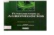 Fundamentos de Agronegócios - catagronegocio.weebly.comcatagronegocio.weebly.com/.../39500879-fundamentos-de-agronegocios.pdf · 6 FUNDAMENTOS DE AGRONEGÓCIOS 2.2 Segmentos dentro