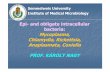 Epi-and obligate intracellular bacteria: Mycoplasma ...semmelweis.hu/mikrobiologia/files/2014/05/FGM_2013-2014-1-14_.pdf · Epi-and obligate intracellular bacteria: Mycoplasma, Chlamydia,