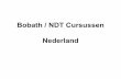 Bobath/ NDT Cursussen Nederland - sgfinfo.nl · karel en berti bobath. berti bobath-busse 5-12-1907 karel bobath 14-3-1906. 1936 wonen in londen 1941 getrouwd. 1943 behandelen arm