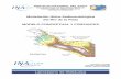 Modelación Hidro-Sedimentológica del Río de la Plata ... · En este Tercer Informe se plantea un modelo conceptual de flujo de sedimentos en el Río de la Plata Interior, y se