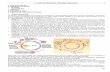 8. CICLO CELULAR. DIVISÓN CELULAR - iesjuangris.esiesjuangris.es/MAT/55_8- CICLO CELULAR.pdf · Para que una célula salga del estado de quiescencia y el ciclo celular tenga continuidad,
