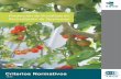 Criterios Normativos - inifed.gob.mx · NFT Sistema de cultivo hidropónico que está basado en mantener una delgada ... como lechuga, acelga, espinaca, apio, aromáticas, ...
