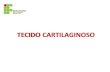 TECIDO CARTILAGINOSO - docente.ifsc.edu.brdocente.ifsc.edu.br/melissa.kayser/MaterialDidatico/Citohistologia... · • Pericôndrio: tecido conjuntivo que envolve a cartilagem, responsável