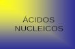 ÁCIDOS NUCLEICOS - IES Sierra Sur · El descubrimiento de la doble hélice: la difracción de rayos X • La difracción de rayos X Rosalind Franklin comenzó su trabajo sobre el