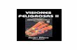 Visiones peligrosas II - bibliotecadigital.tamaulipas.gob.mxbibliotecadigital.tamaulipas.gob.mx/archivos/descargas/76d46ba1a... · nombres de William Burroughs, Thomas Pynchon, Alan