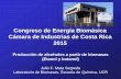 Congreso de Energía Biomásica Cámara de Industrias de ... · Cámara de Industrias de Costa Rica 2015 Producción de alcoholes a partir de biomasas (Etanol y butanol) Julio F.