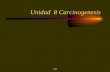 Unidad 8 Carcinogenesisecaths1.s3.amazonaws.com/anatomiapatologicaodontounrn/1520727361... · Unidad 8 Carcinogenesis LM . LM ... el crecimiento celular producido por el desequilibrio