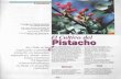 platina.inia.clplatina.inia.cl/postcosecha/docs/extension/Pistacho.pdf · Pistacho En Chile se ha empezado a planta pistacho en pequeñas ... por injerto sobre semillas de Pistacia