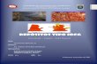 DEPÓSITOS TIPO IOCG - s930174202460df25.jimcontent.com · hidrotermal, los métodos instrumentales de análisis geoquímico por multielementos y, desde luego, los avances en la tecnología