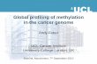 Global profiling of methylation in the cancer genome - Illumina · Global profiling of methylation in the cancer genome Andy Feber UCL Cancer Institute University College London,