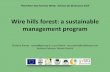 Wire hills forest: a sustainable management program - IUCN · Wire hills forest: a sustainable management program Giuliano Ramat - ramat@gismap.it ; Luca Davini - luca.davini@cefakenya.com